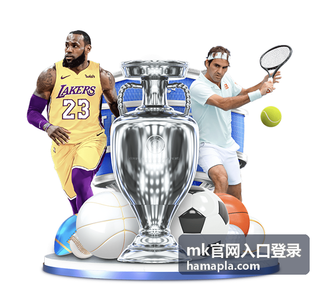 mk官网入口登录操作场景示意
